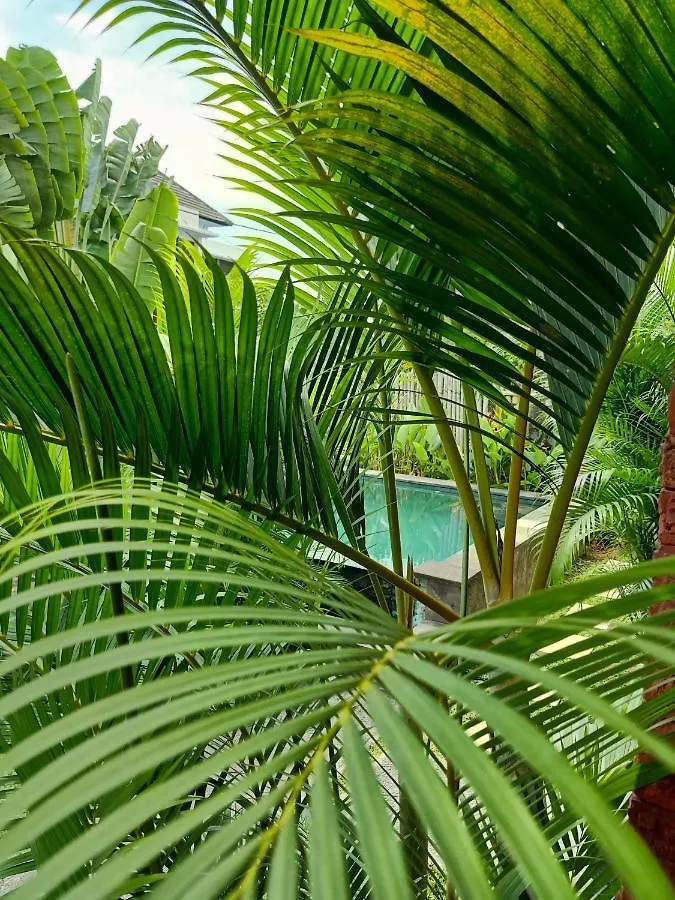 Wayan Garden Guest House Ubud
